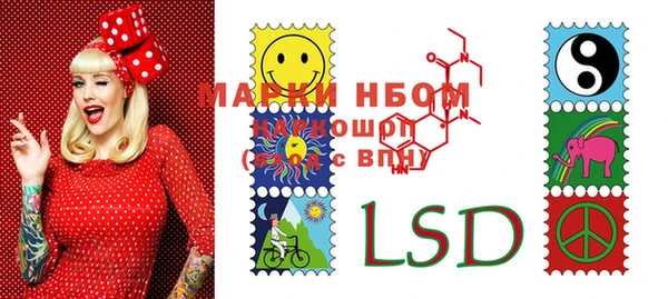 стафф Надым