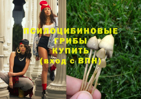 прущая мука Навашино